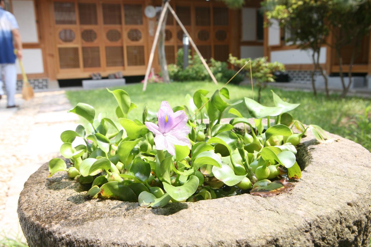 Sarangnamoo Hanok Guesthouse 全州市 エクステリア 写真